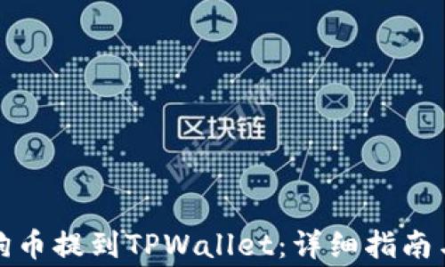 
如何将狗狗币提到TPWallet：详细指南与注意事项