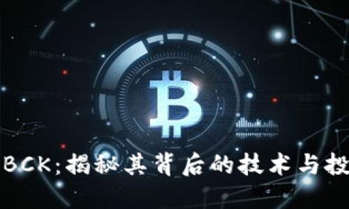 虚拟币BCK：揭秘其背后的技术与投资机会
