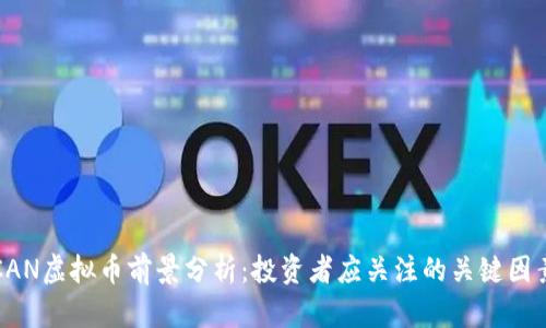 CAN虚拟币前景分析：投资者应关注的关键因素