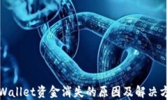 TPWallet资金消失的原因及解