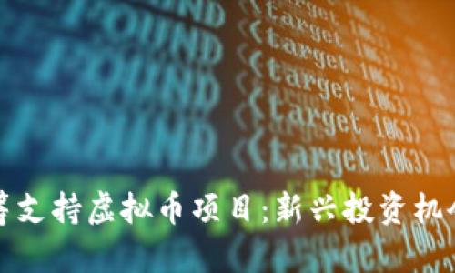 如何利用众筹支持虚拟币项目：新兴投资机会与风险分析