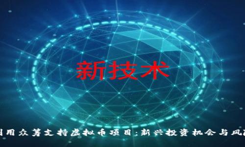 如何利用众筹支持虚拟币项目：新兴投资机会与风险分析