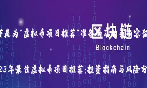 以下是为“虚拟币项目推荐”准备的及相关内容架构：


2023年最佳虚拟币项目推荐：投资指南与风险分析