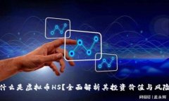 什么是虚拟币HS？全面解析