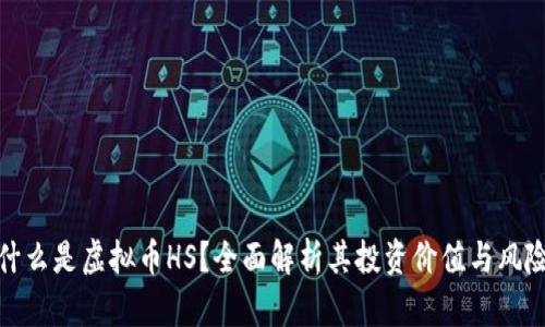 什么是虚拟币HS？全面解析其投资价值与风险