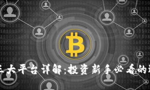 虚拟币三大平台详解：投资新手必看的选择指南