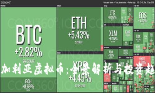 保加利亚虚拟币：全景解析与投资趋势