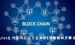 tpwallet支付密码忘记了怎么