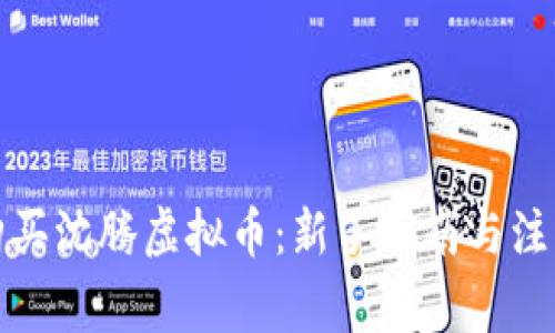如何购买沈腾虚拟币：新手指南与注意事项