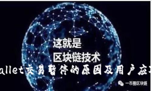  TPWallet交易暂停的原因及用户应对策略
