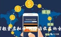 3000万投资虚拟币：风险与