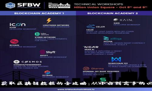 虚拟币获取区块链数据的全攻略：从小白到高手的必备指南