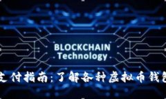 虚拟币支付指南：了解各