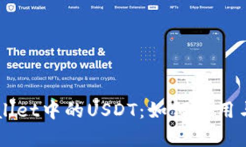 详解TPWallet中的USDT：如何使用与风险分析