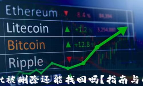 
TPWallet被删除还能找回吗？指南与解决方案