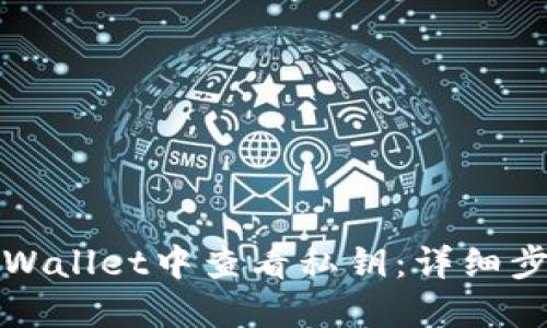 如何在TPWallet中查看私钥：详细步骤与解答