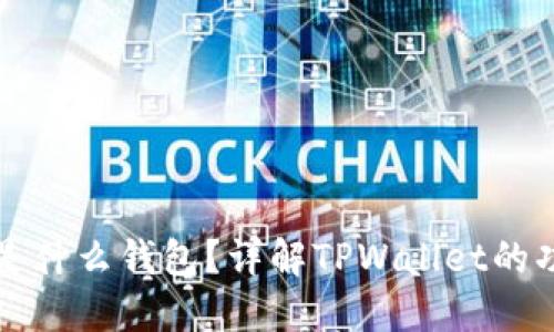 TPWallet是什么钱包？详解TPWallet的功能与优势