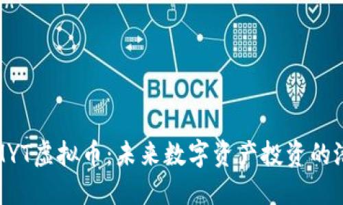 深入探索MYT虚拟币：未来数字资产投资的潜力与风险