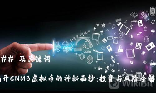 ### 及关键词

揭开CNMB虚拟币的神秘面纱：投资与风险全解析