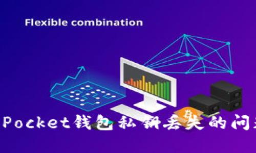 如何处理TokenPocket钱包私钥丢失的问题及其解决方案