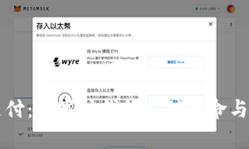 虚拟币支付：数字时代的支付革命与应用前景
