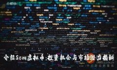 介绍Som虚拟币：投资机会