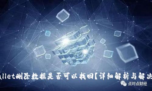 tpwallet删除数据是否可以找回？详细解析与解决方案