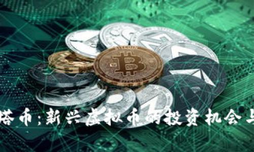 ### 塔塔币：新兴虚拟币的投资机会与风险剖析