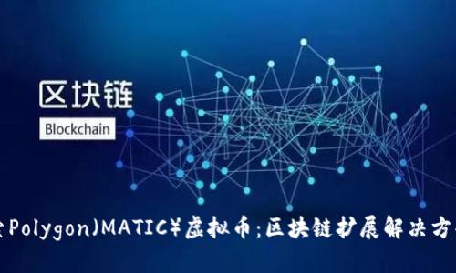 深入探索Polygon（MATIC）虚拟币：区块链扩展解决方案的未来