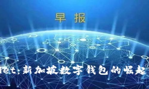 tpwallet：新加坡数字钱包的崛起与未来