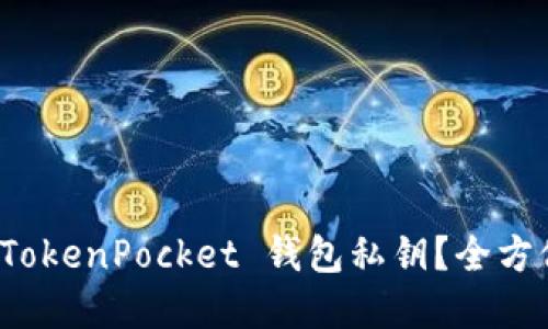 如何找回 TokenPocket 钱包私钥？全方位解决方案