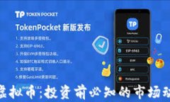 全面解析YSM虚拟币：投资