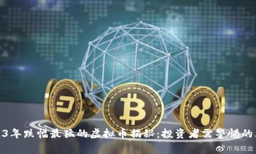 2023年跌幅最猛的虚拟币揭秘：投资者需警惕的风险