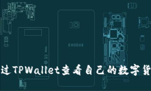 如何通过TPWallet查看自己的数字货币资产