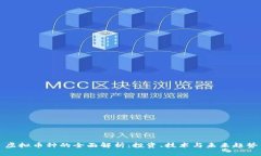虚拟币种的全面解析：投