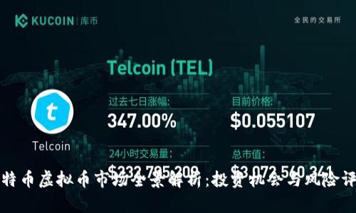 比特币虚拟币市场全景解析：投资机会与风险评估