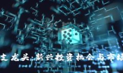 虚拟币分支龙头：新兴投