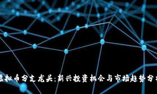 虚拟币分支龙头：新兴投资机会与市场趋势分析
