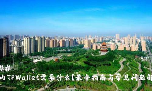 ### 
国内TPWallet需要什么？最全指南与常见问题解答