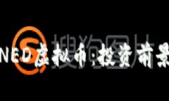 : 深入了解NED虚拟币：投资