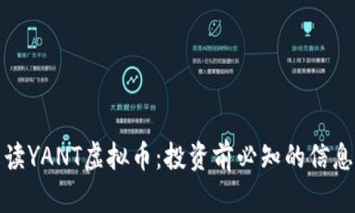 全面解读YANT虚拟币：投资前必知的信息和策略