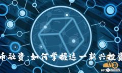虚拟币融资：如何掌握这