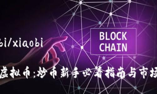 xiaobi/xiaobi

乳山虚拟币：炒币新手必看指南与市场分析