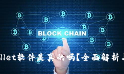 国外TPWallet软件是真的吗？全面解析与用户体验