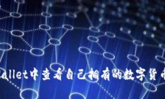如何在TP Wallet中查看自己