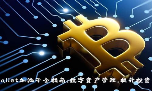 TPWallet加池子全指南：数字资产管理，提升投资收益