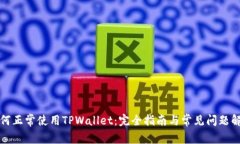 如何正常使用TPWallet：完全指南与常见问题解答