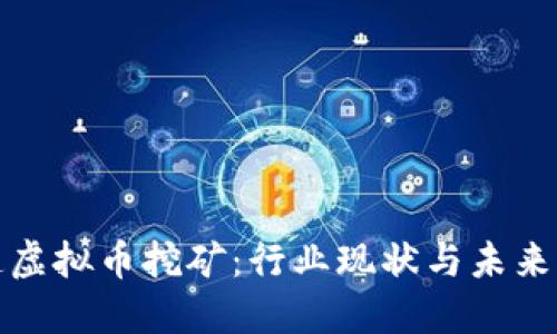 央视报道虚拟币挖矿：行业现状与未来发展趋势