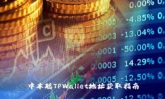 中本聪TPWallet地址获取指南