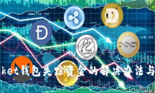 TokenPocket钱包失踪资金的解决办法与预防措施